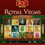 Royal Vegas casino
